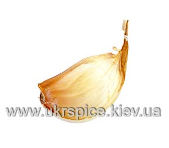 ������, garlic 