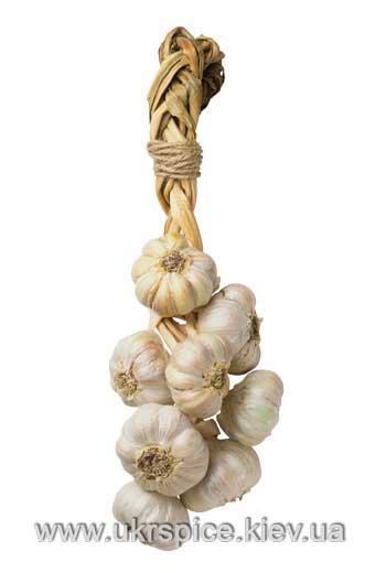 ������, garlic 