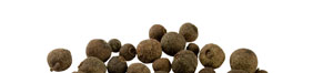 душистый перец, allspice 1