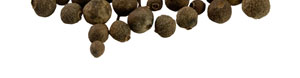 душистый перец, allspice 3