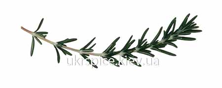 ������, ������, thyme