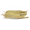 Сушеные листья эвкалипта