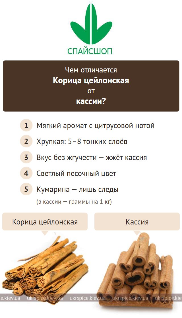 Чем корица цейлонская отличается от кассии: аромат, слои, вкус, цвет, кумарин