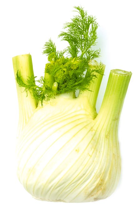 фенхель, fennel