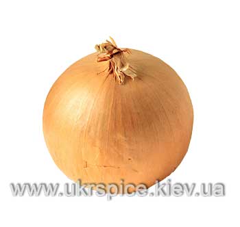 лук, onion